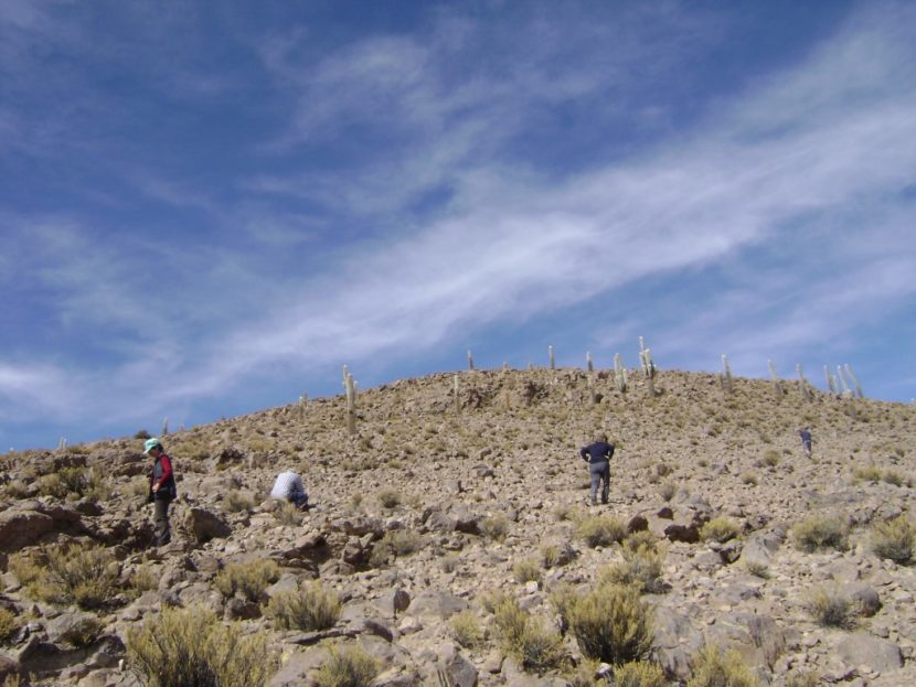 Parque Nac. Lauca + Reserva Nac. Las Vicuñas + Parque Nac. Volcán Isluga 4D/3N